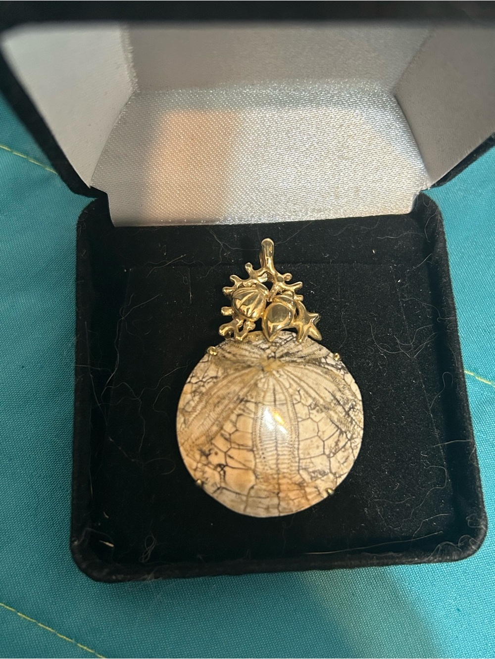 14k Gold Beige Fossil Pendant Necklace - Women's Jewelry